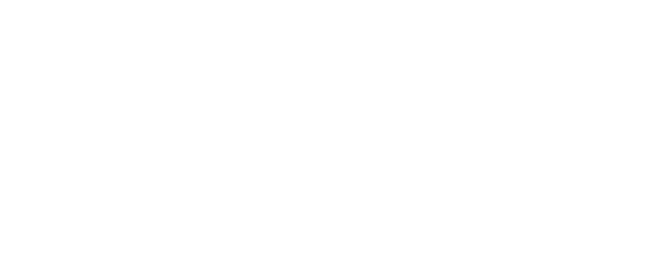 Depósito dental Velary
